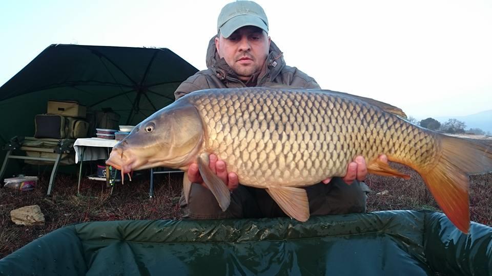 prima captura pe 2016 - 125409906412832526778607061230322255929604n.jpg